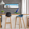Corona Extra Framed Canvas Wall Art Decor (12" X 37")